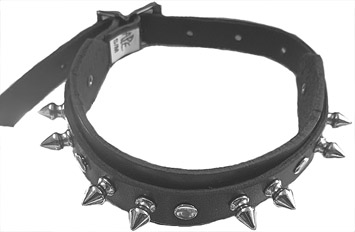 Ape Leather genuine leather choker with one row of spikes, rivets.