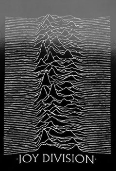 Joy DIvision Unknown Pleasures vinyl sticker