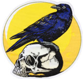 Crow on skull iron on cloth patch