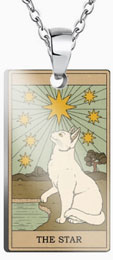 The Star cat tarot pendant necklace