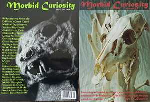 Morbid Curiosity early 2000s vintage magazine