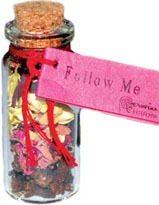 Follow Me pocket spell bottle necklace